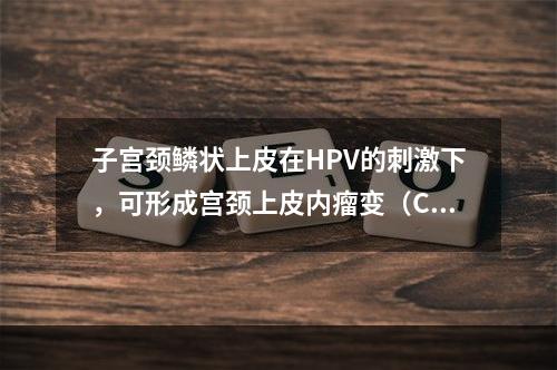 子宫颈鳞状上皮在HPV的刺激下，可形成宫颈上皮内瘤变（CIN