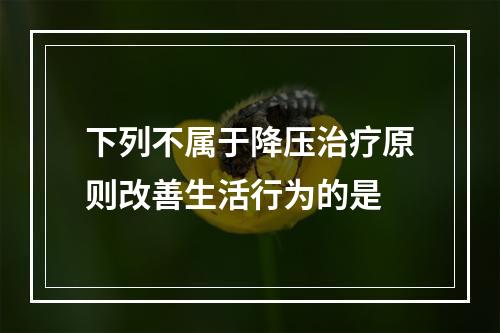 下列不属于降压治疗原则改善生活行为的是