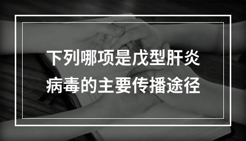 下列哪项是戊型肝炎病毒的主要传播途径