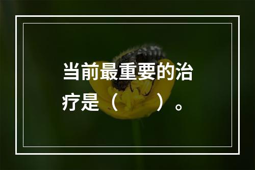 当前最重要的治疗是（　　）。