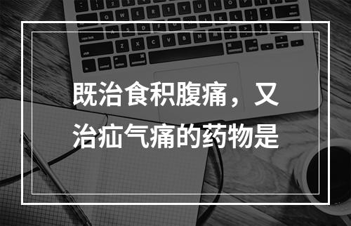 既治食积腹痛，又治疝气痛的药物是