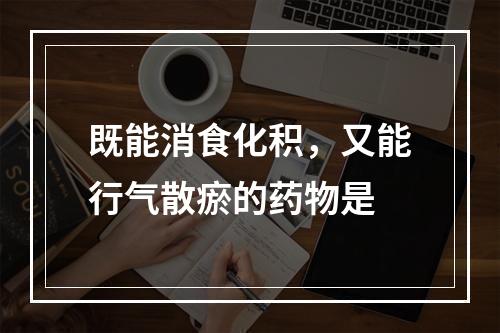 既能消食化积，又能行气散瘀的药物是