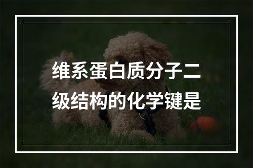 维系蛋白质分子二级结构的化学键是