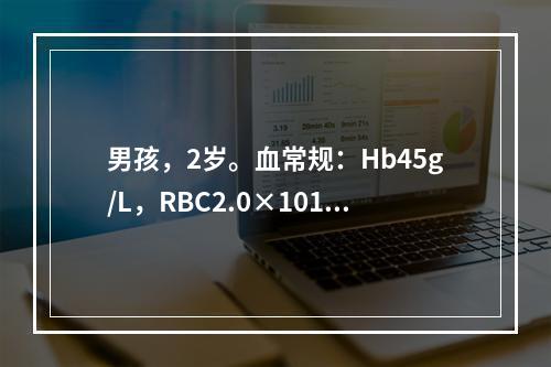 男孩，2岁。血常规：Hb45g/L，RBC2.0×1012/