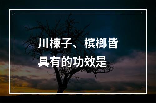 川楝子、槟榔皆具有的功效是