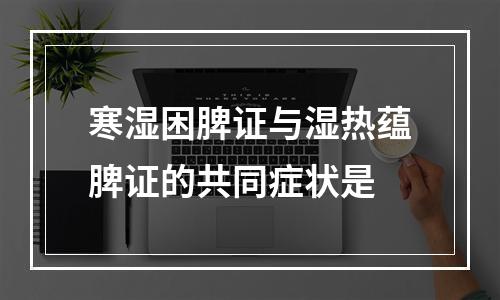 寒湿困脾证与湿热蕴脾证的共同症状是