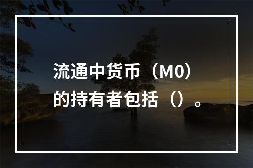 流通中货币（M0）的持有者包括（）。