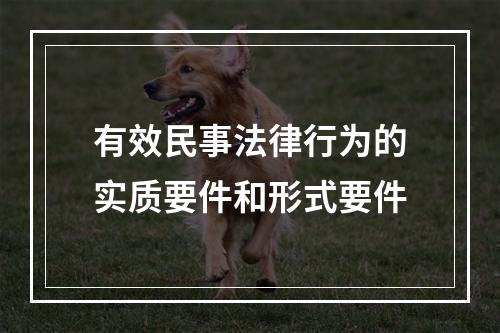 有效民事法律行为的实质要件和形式要件