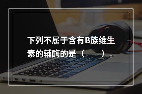 下列不属于含有B族维生素的辅酶的是（　　）。