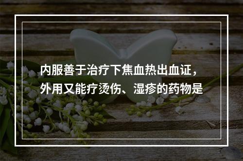 内服善于治疗下焦血热出血证，外用又能疗烫伤、湿疹的药物是