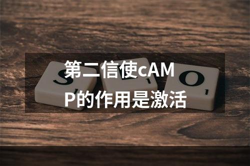 第二信使cAMP的作用是激活