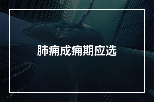 肺痈成痈期应选