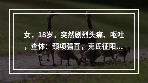 女，18岁，突然剧烈头痛、呕吐，查体：颈项强直，克氏征阳性，