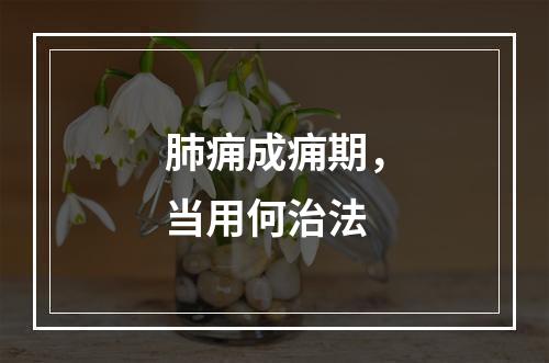 肺痈成痈期，当用何治法