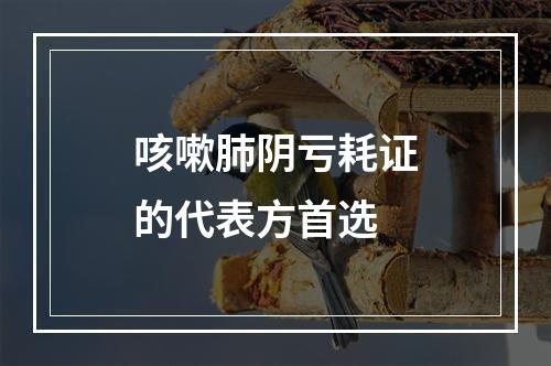 咳嗽肺阴亏耗证的代表方首选