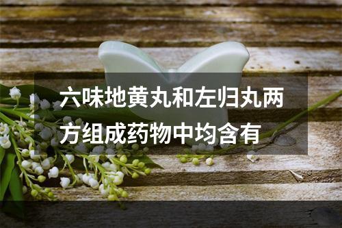 六味地黄丸和左归丸两方组成药物中均含有