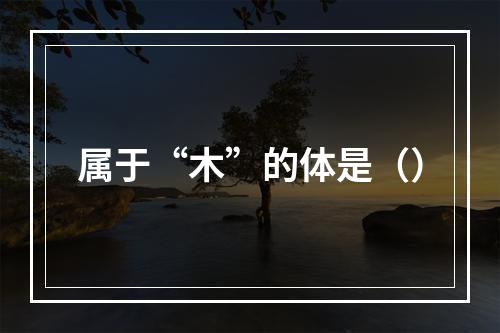 属于“木”的体是（）