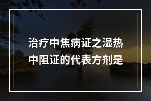 治疗中焦病证之湿热中阻证的代表方剂是