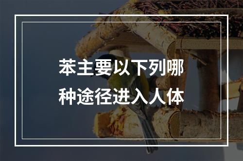 苯主要以下列哪种途径进入人体