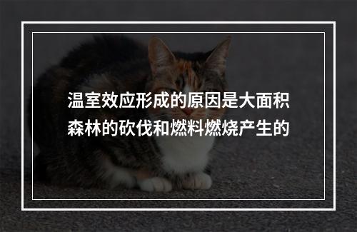 温室效应形成的原因是大面积森林的砍伐和燃料燃烧产生的