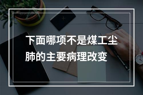 下面哪项不是煤工尘肺的主要病理改变