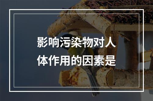 影响污染物对人体作用的因素是