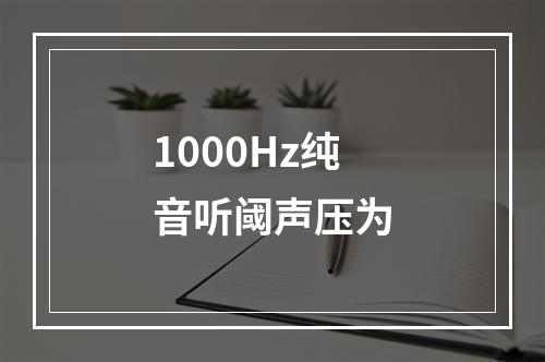 1000Hz纯音听阈声压为