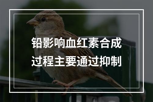 铅影响血红素合成过程主要通过抑制