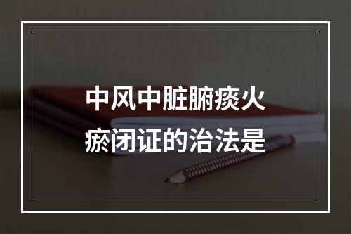 中风中脏腑痰火瘀闭证的治法是