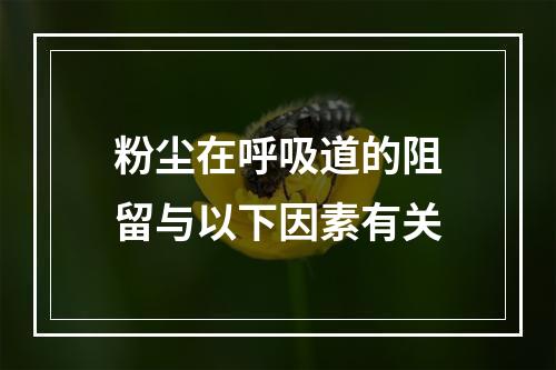 粉尘在呼吸道的阻留与以下因素有关