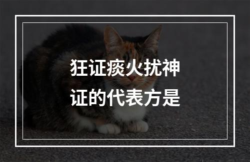 狂证痰火扰神证的代表方是