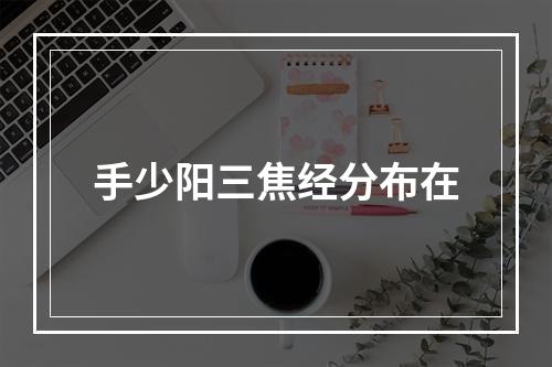 手少阳三焦经分布在