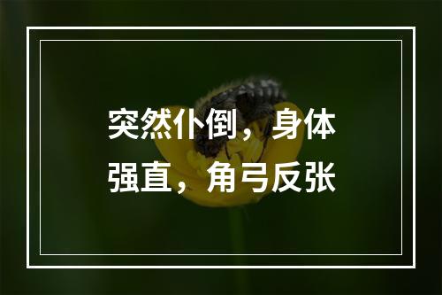 突然仆倒，身体强直，角弓反张