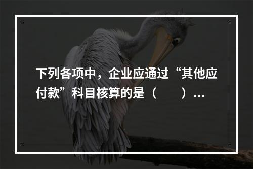 下列各项中，企业应通过“其他应付款”科目核算的是（　　）。