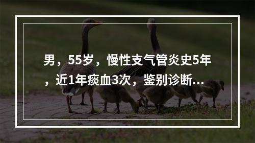 男，55岁，慢性支气管炎史5年，近1年痰血3次，鉴别诊断时哪