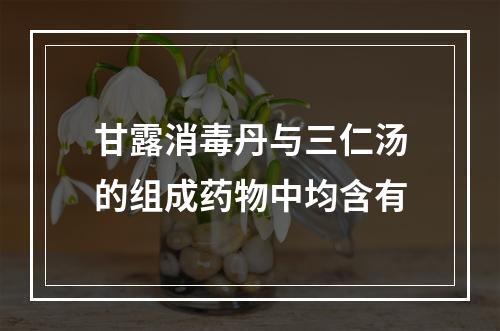 甘露消毒丹与三仁汤的组成药物中均含有