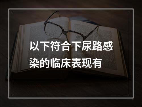 以下符合下尿路感染的临床表现有