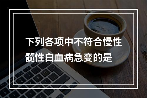 下列各项中不符合慢性髓性白血病急变的是