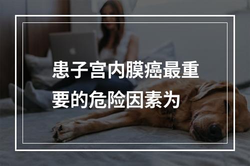 患子宫内膜癌最重要的危险因素为