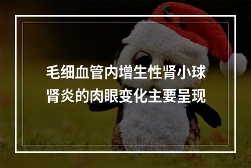 毛细血管内增生性肾小球肾炎的肉眼变化主要呈现