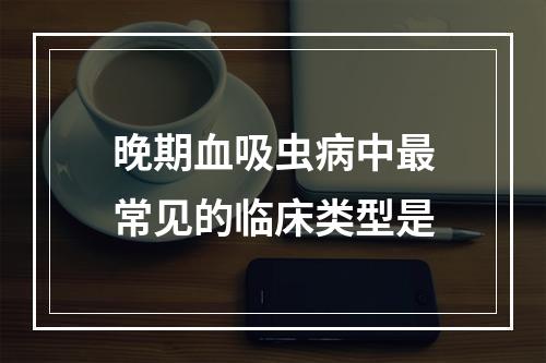 晚期血吸虫病中最常见的临床类型是