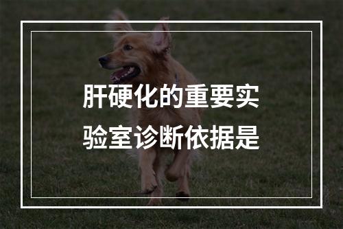 肝硬化的重要实验室诊断依据是