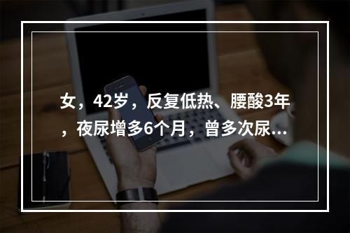 女，42岁，反复低热、腰酸3年，夜尿增多6个月，曾多次尿培训