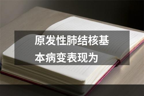 原发性肺结核基本病变表现为