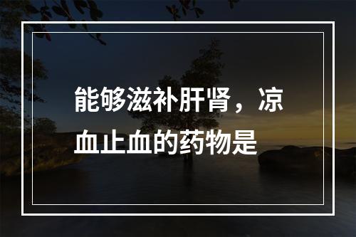 能够滋补肝肾，凉血止血的药物是