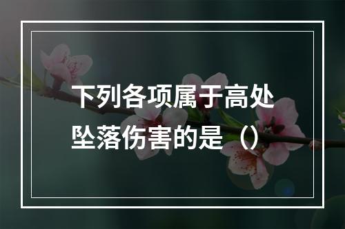 下列各项属于高处坠落伤害的是（）