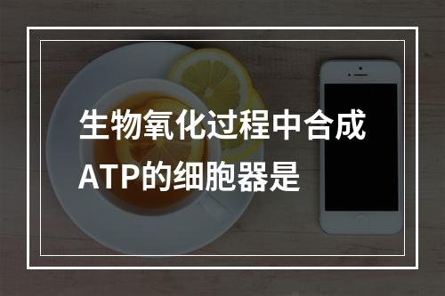 生物氧化过程中合成ATP的细胞器是