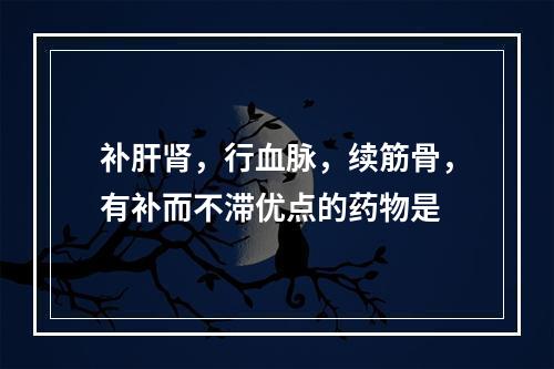 补肝肾，行血脉，续筋骨，有补而不滞优点的药物是