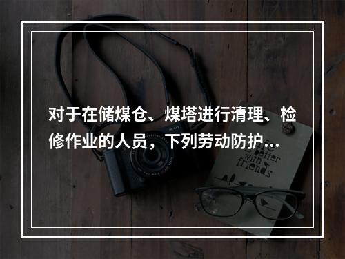 对于在储煤仓、煤塔进行清理、检修作业的人员，下列劳动防护用品