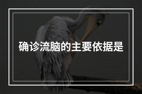 确诊流脑的主要依据是